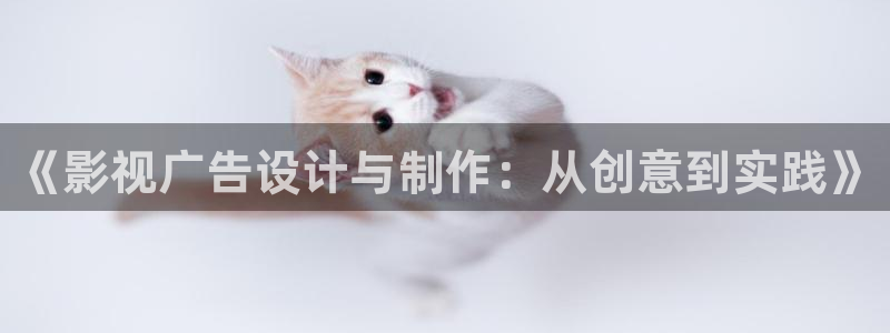 《四庫影視》電視劇在線觀看-好看影院：《影視廣告設計與制作：從創意到實踐》