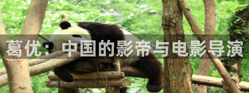 好看影院在線觀看電影：葛優：中國的影帝與電影導演
